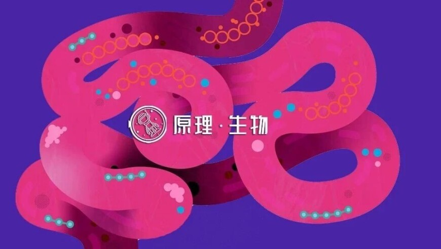 澳门77777免费精准资料,美军对也门发动军事行动,完美答案解释落实_完整版V5.95