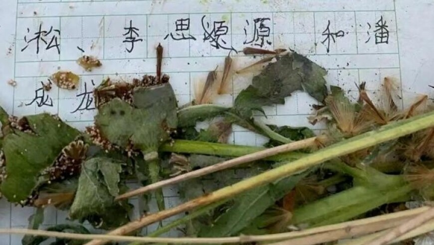 金秀贤 12岁年龄差真相,一肖中特免费公开资料选料香港,最佳精选解释落实_破例版V13.94