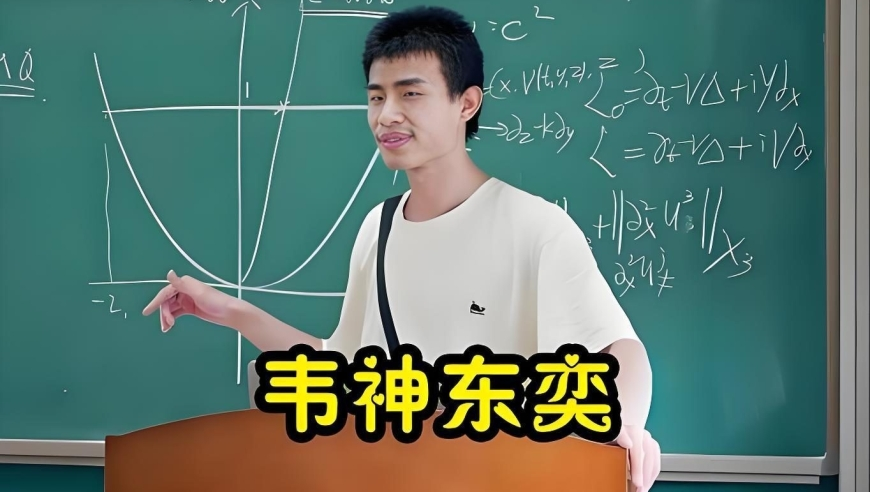 管家婆免费资料网站,狗狗将被撞的同伴拖回路边,确保成语解释落实的问题_VR版V11.73